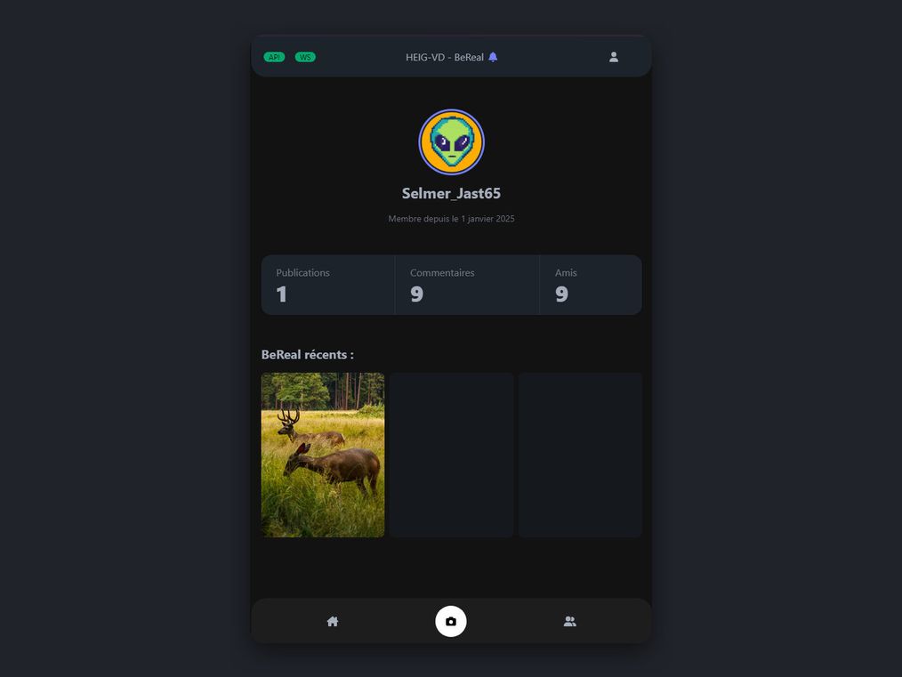 A user profile showing a round avatar, a pseudonym, counts for publications, comments and friends, and a grid of recent BeReals.