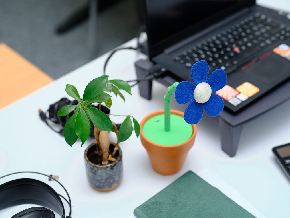 DataBloom on a desk beside an open laptop and a small live plant, its stem gently bent.